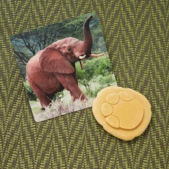 Let's Investigate Footprints Sensory Stones (Safari)