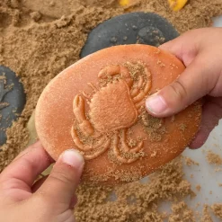 Let's Investigate Sensory Stones (Seashore)