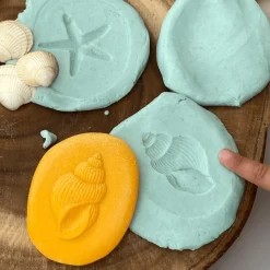 Let's Investigate Sensory Stones (Seashore)