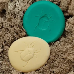 Let's Investigate Sensory Stones (Bugs)