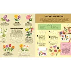 Little Homesteader: A Spring Treasury Of Recipes, Crafts, And Wisdom | Hardcover