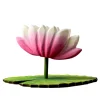 Lotus Flower