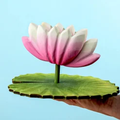 Lotus Flower