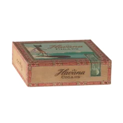 Maileg Mice Set in Cigar Box (Mum & Dad Mouse)