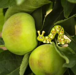 Miniature Caterpillar | Wooden Toy Insect