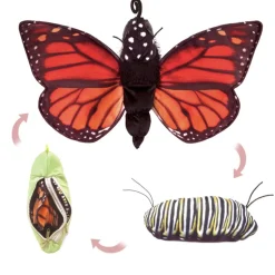 Monarch Butterfly Life Cycle Hand Puppet