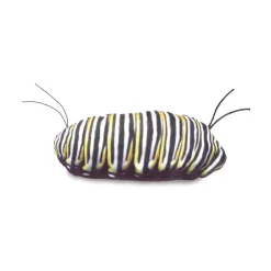 Monarch Butterfly Life Cycle Hand Puppet