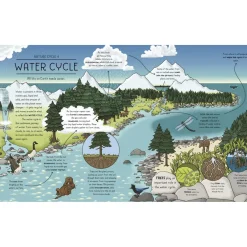 Nature Explained: A family guide to 20 nature cycles | Hardcover