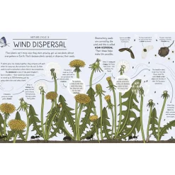 Nature Explained: A family guide to 20 nature cycles | Hardcover