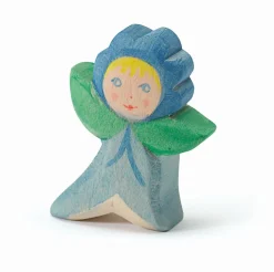 Ostheimer Flower Child (Forget-Me-Not)