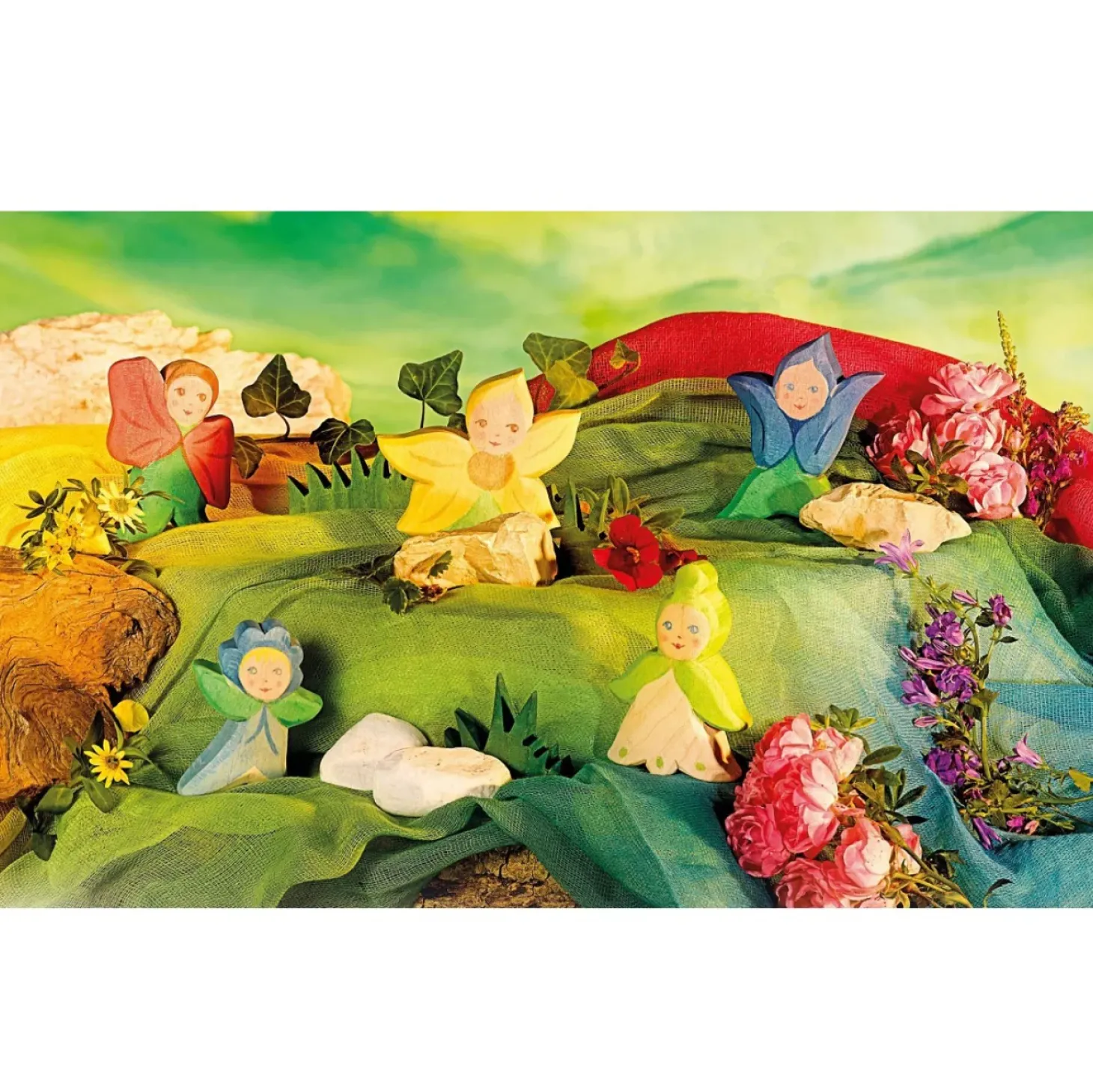 Ostheimer Flower Child (Forget-Me-Not)