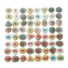 Phonics Pebbles (Set of 64)