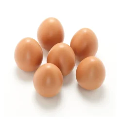 Play Eggs (Set of 6)