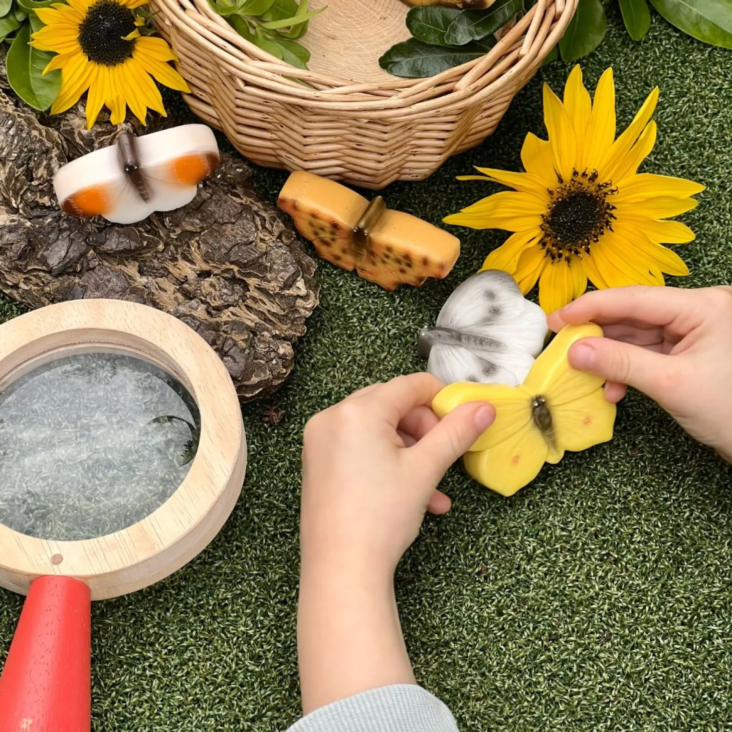 Play Stones (Butterflies)