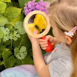 Play Stones (Butterflies)