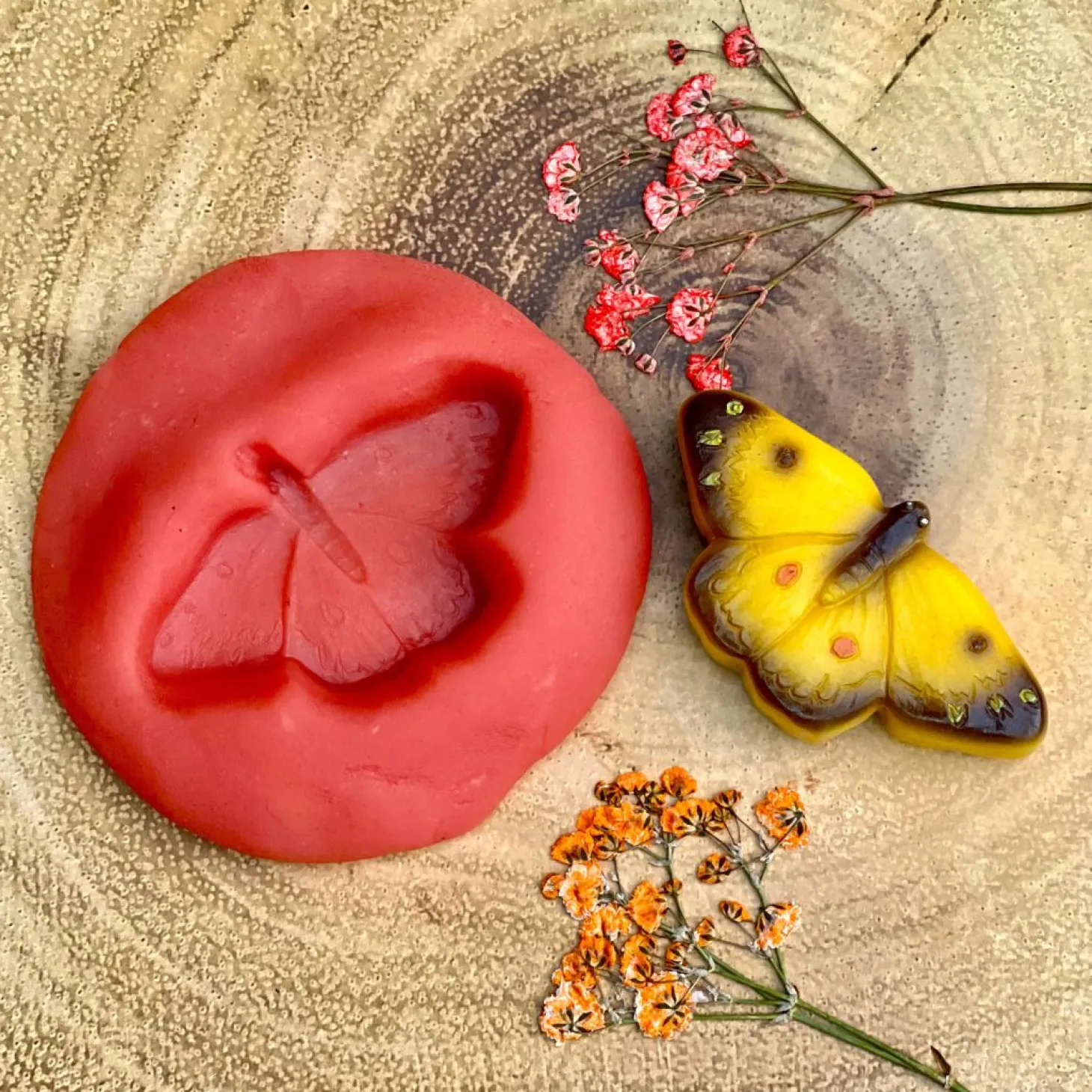 Play Stones (Butterflies)