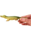PRE-ORDER Baby Crocodile