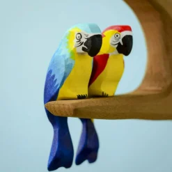 PRE-ORDER Blue Macaw Parrot
