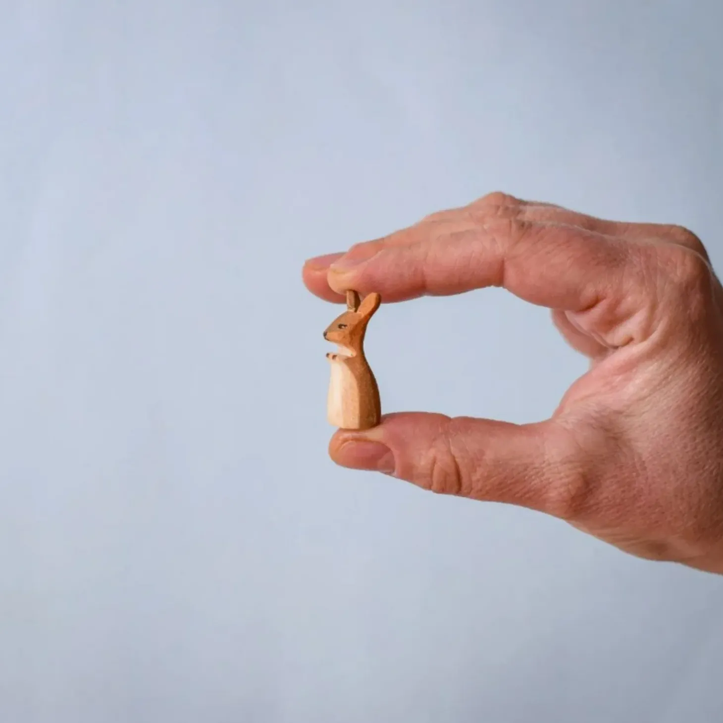 PRE-ORDER Kangaroo Family (Set of 4)