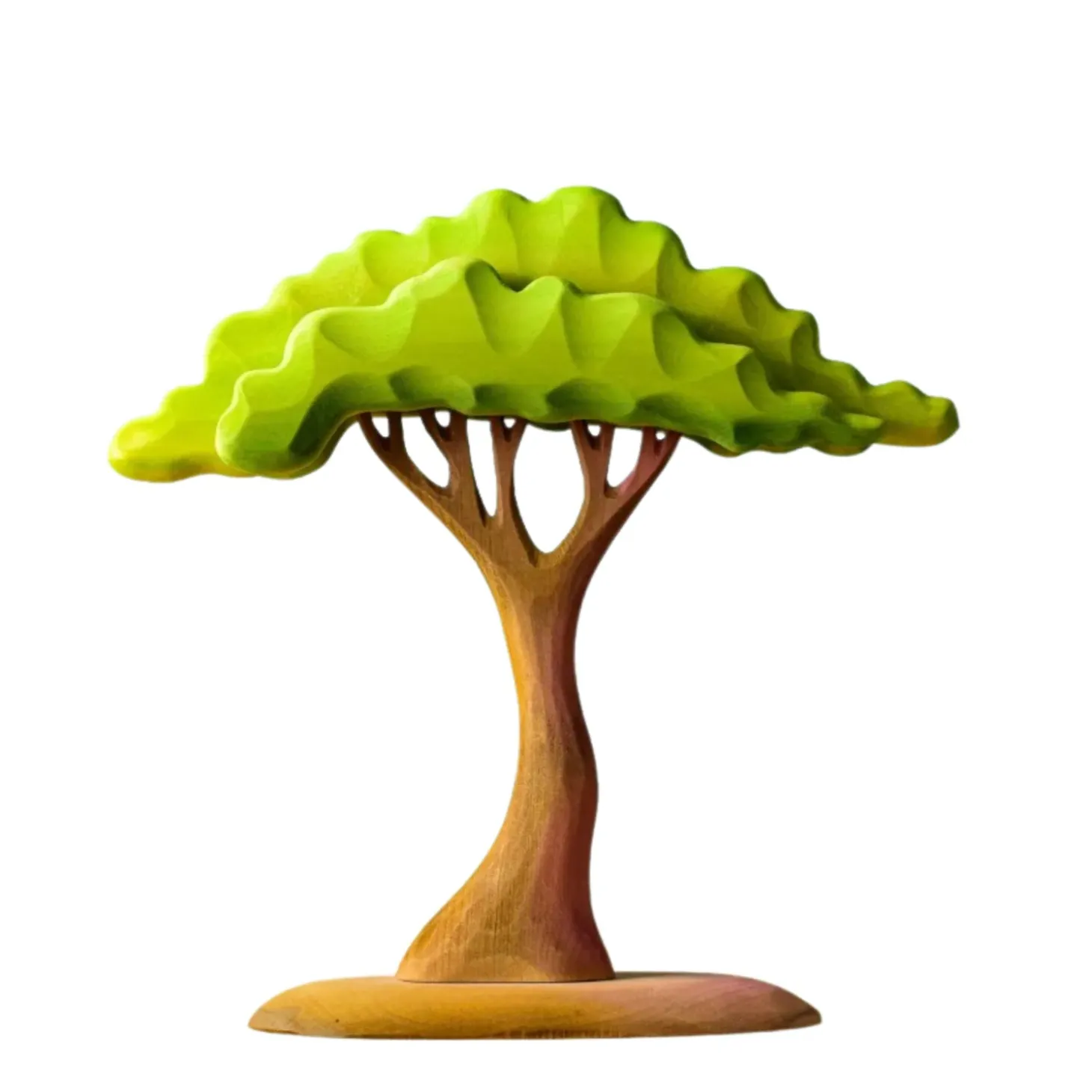 PRE-ORDER Large Acacia Tree