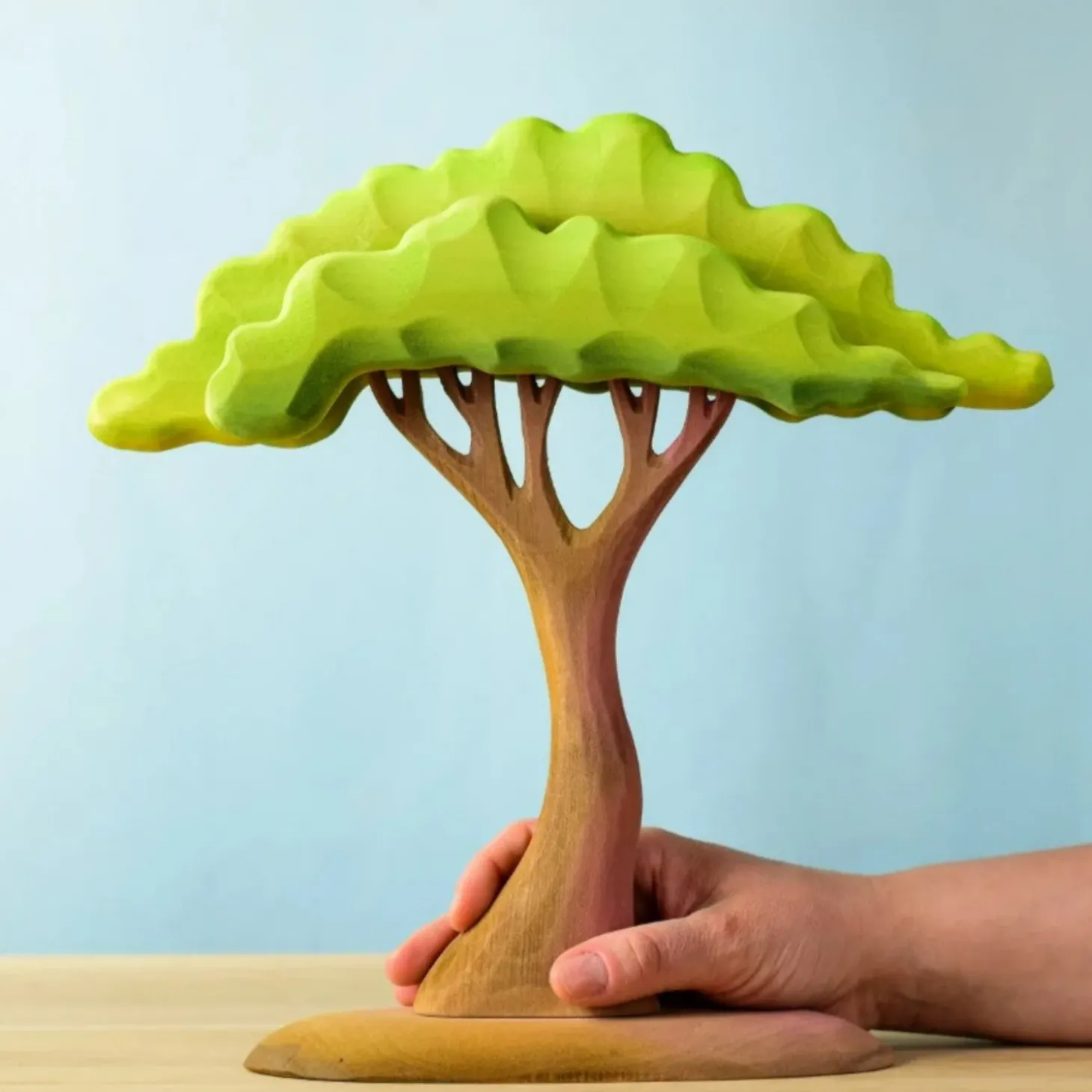 PRE-ORDER Large Acacia Tree