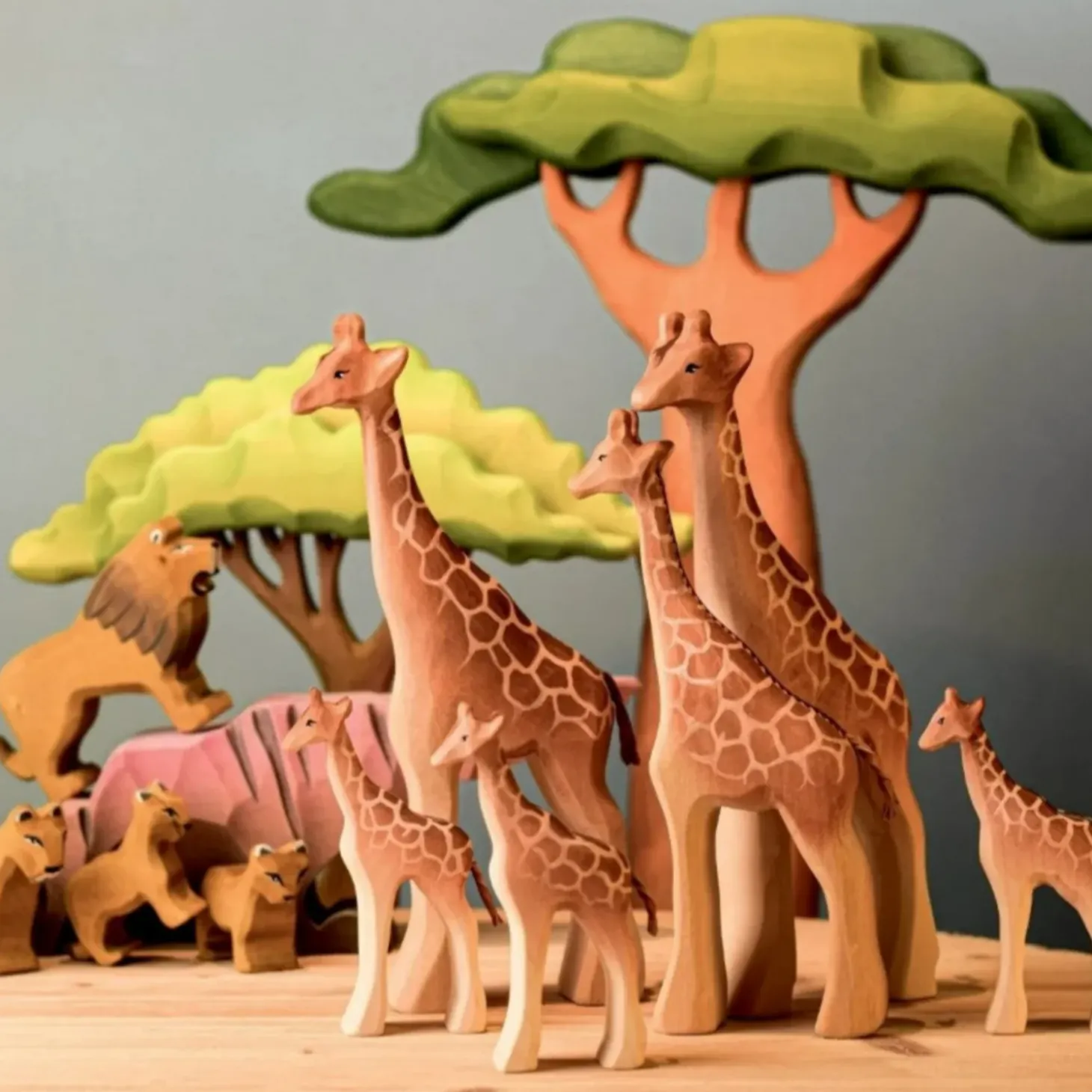 PRE-ORDER Large Acacia Tree