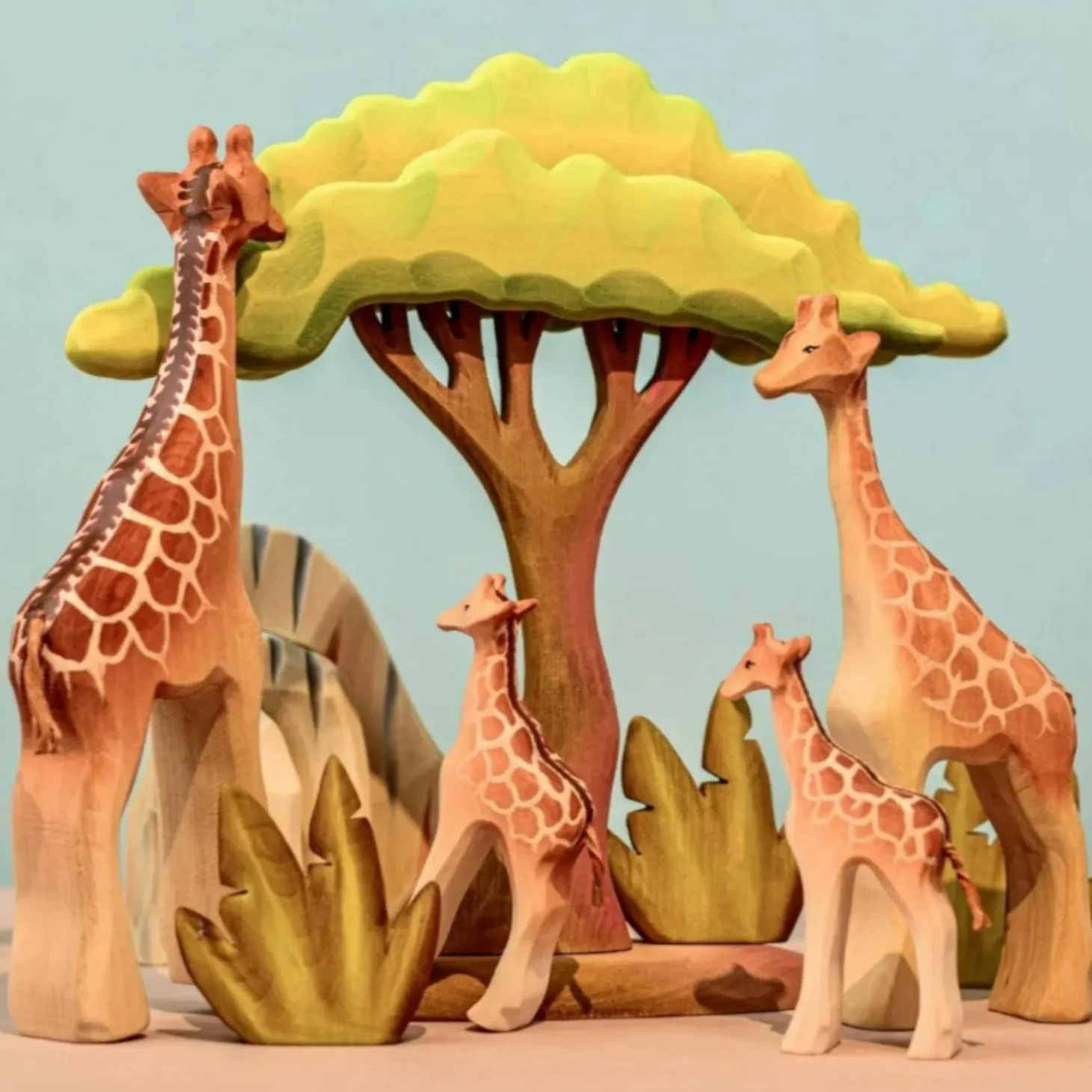 PRE-ORDER Large Acacia Tree