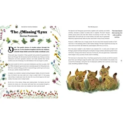 Rewild the World at Bedtime: Hopeful Stories from Mother Nature | Hardcover