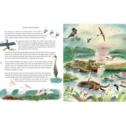 Rewild the World at Bedtime: Hopeful Stories from Mother Nature | Hardcover