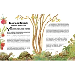 Rewild the World at Bedtime: Hopeful Stories from Mother Nature | Hardcover