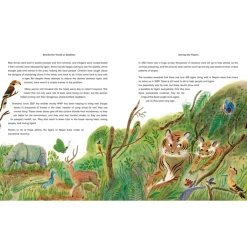 Rewild the World at Bedtime: Hopeful Stories from Mother Nature | Hardcover