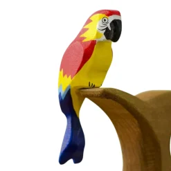 Scarlet Macaw Parrot