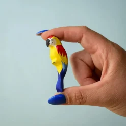 Scarlet Macaw Parrot