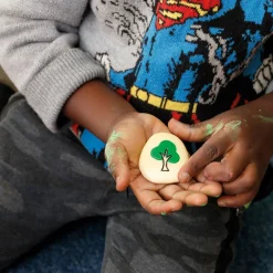 Self Regulation Stones