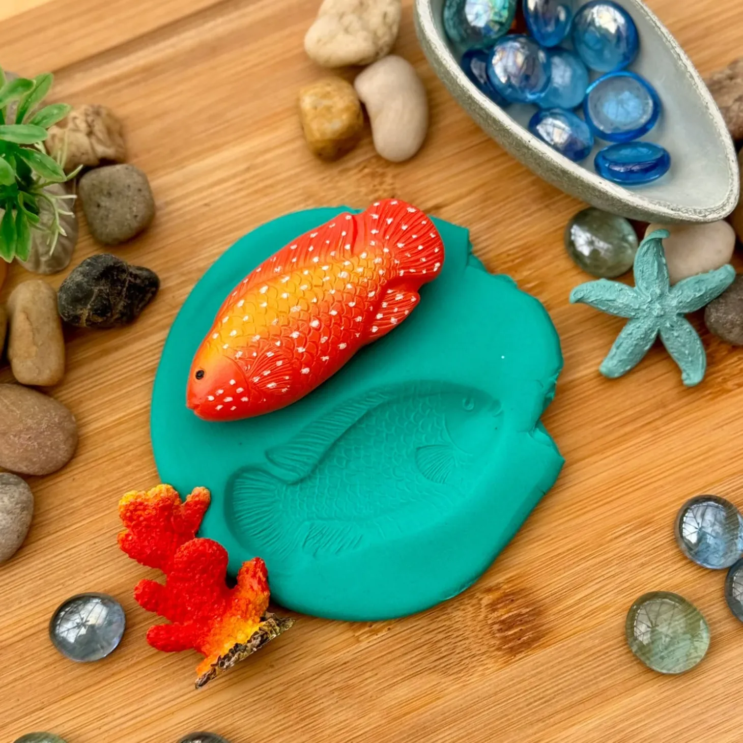 Sensory Play Stones (Fish)