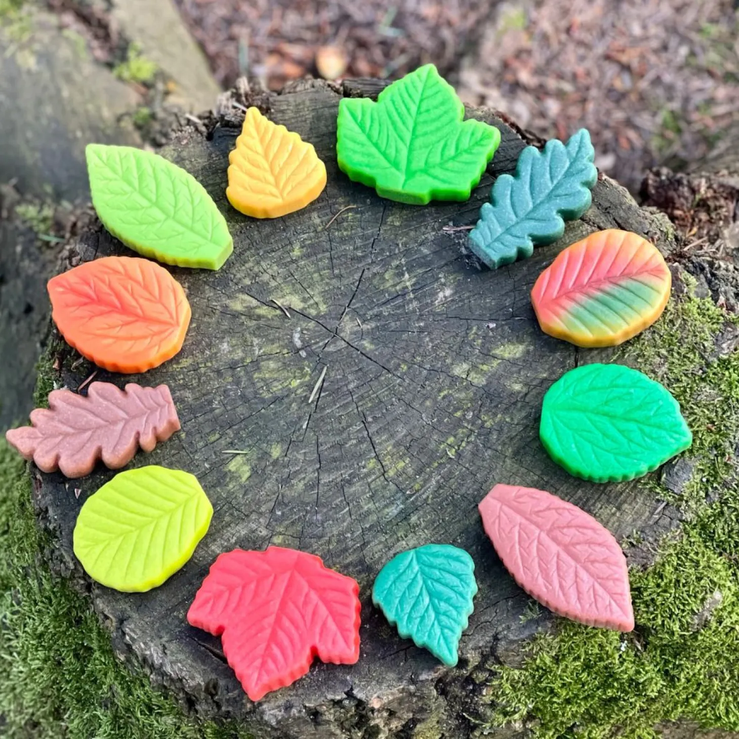 Sensory Play Stones (Leaves)