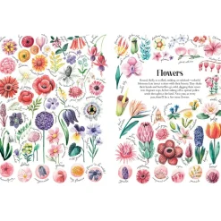 Shapes and Patterns in Nature | Hardcover