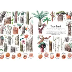 Shapes and Patterns in Nature | Hardcover