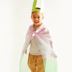 Silk Bunny Ears (Soft Rainbow)