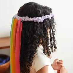 Silk Georgette Rainbow Veil