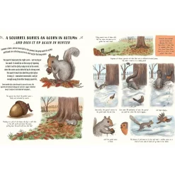 Slow Down - 50 Mindful Moments in Nature | Hardcover