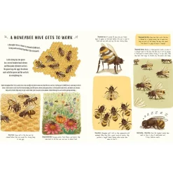 Slow Down - 50 Mindful Moments in Nature | Hardcover