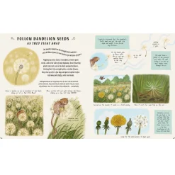 Slow Down and Be Here Now: More Nature Stories to Make you Stop, Look, and be Amazed by the Tiniest Things