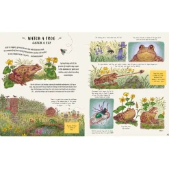 Slow Down and Be Here Now: More Nature Stories to Make you Stop, Look, and be Amazed by the Tiniest Things