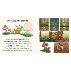 Slow Down...in the Park - Calming Nature Stories for Little Ones | Board Book