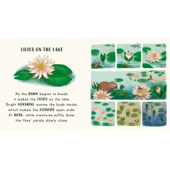 Slow Down...in the Park - Calming Nature Stories for Little Ones | Board Book