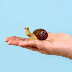 Snail | Wooden Toy