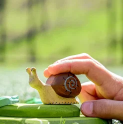 Snail | Wooden Toy