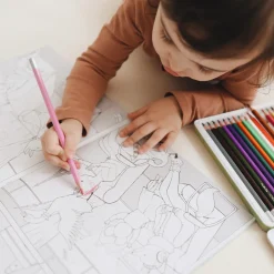 Sticker and Colouring Book (The Little Dance School)