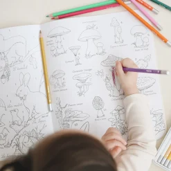 Sticker and Colouring Book (The Botanist)